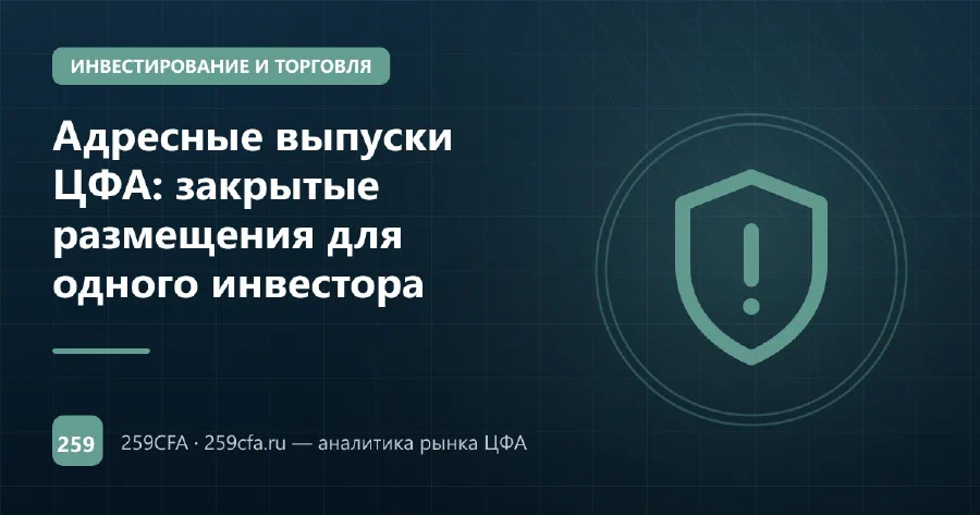 Адресные выпуски ЦФА: закрытые размещения для одного инвестора