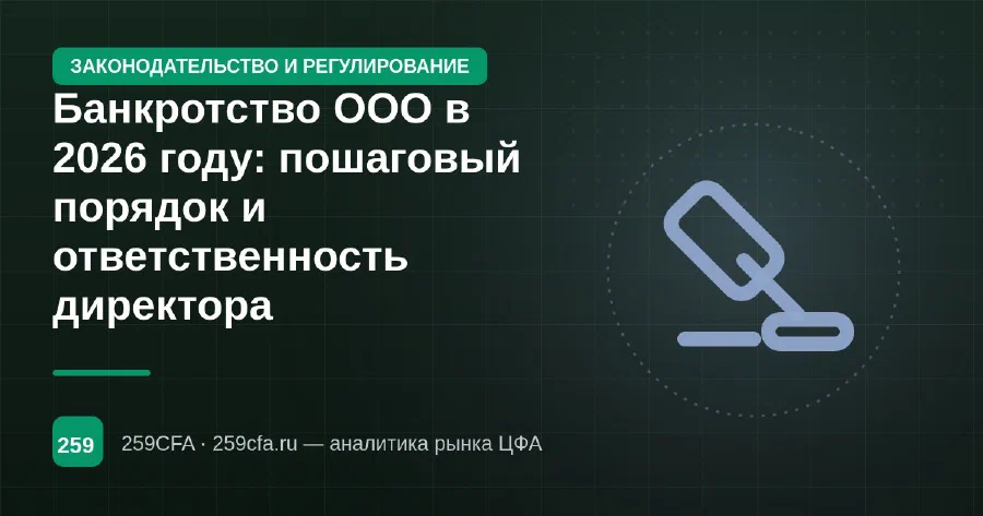 Банкротство ООО в 2026 году: пошаговый порядок и ответственность директора