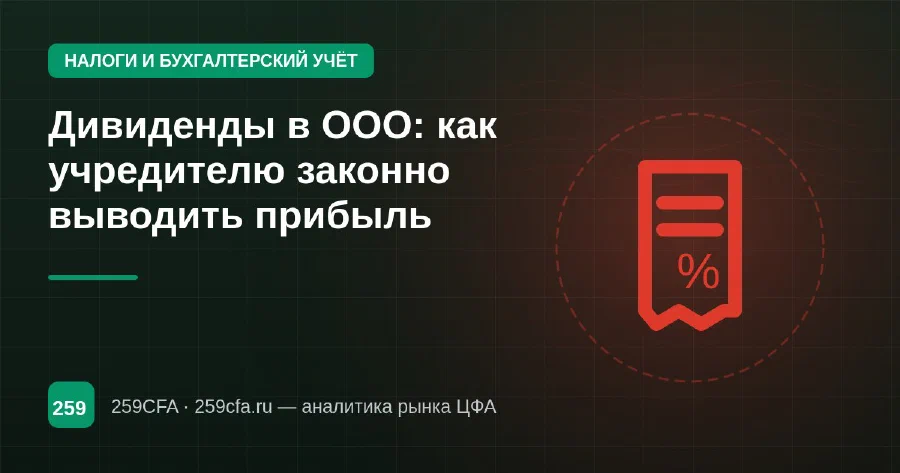 Дивиденды в ООО: как учредителю законно выводить прибыль