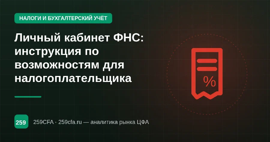 Личный кабинет ФНС: инструкция по возможностям для налогоплательщика